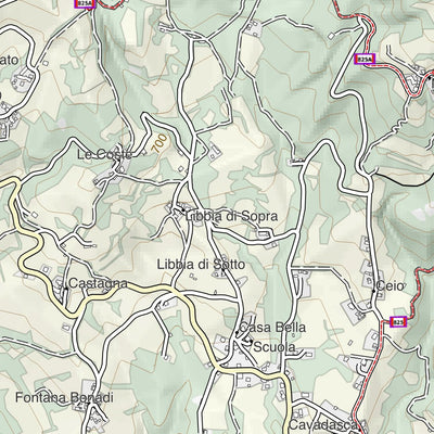 CARTAGO Bedonia digital map