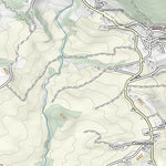 CARTAGO Falconara Marittima digital map