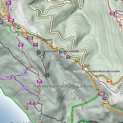 CARTAGO Fezzano digital map