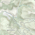 CARTAGO FORESTA DI BURGOS 72 digital map