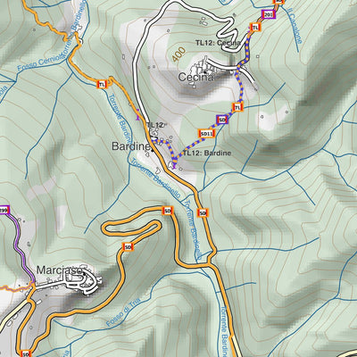 CARTAGO Fosdinovo digital map