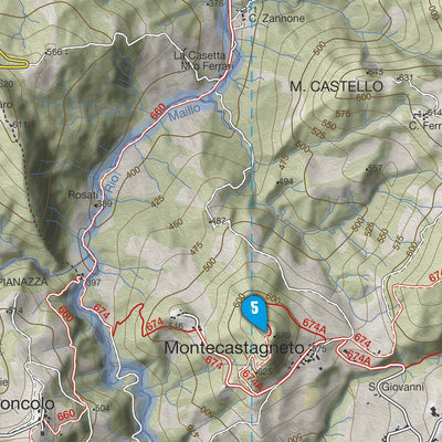 CARTAGO GEOSITI REGIONE EMILIA ROMAGNA: Val Tassobbio digital map