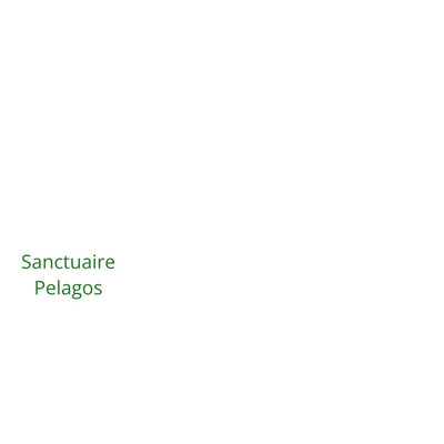 MARCIANA Preview 2