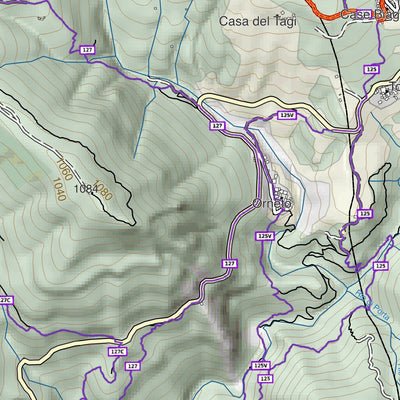 CARTAGO Monte Gòttero digital map