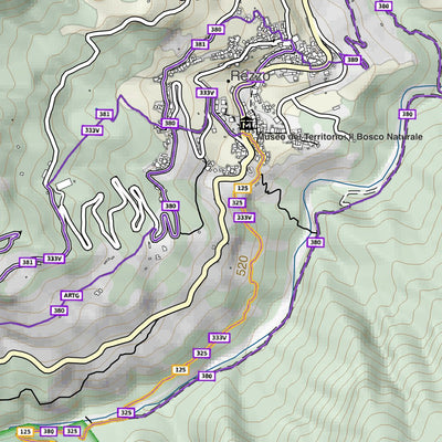 CARTAGO Pieve di Teco digital map