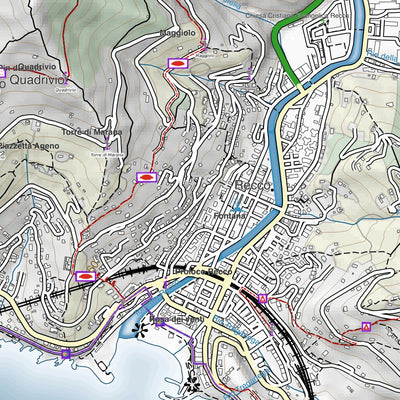 CARTAGO Recco digital map