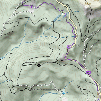 CARTAGO Rovegno digital map