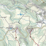 CARTAGO Santo Stèfano d'Aveto digital map