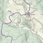 CARTAGO Varese Ligure digital map