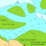 DA ILHA DO MACHADINHO AO CABO MAGUARI (P. DA BARRA SUL DO AMAZONAS) (231) Preview 3