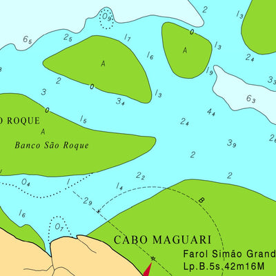 DA ILHA DO MACHADINHO AO CABO MAGUARI (P. DA BARRA SUL DO AMAZONAS) (231) Preview 3