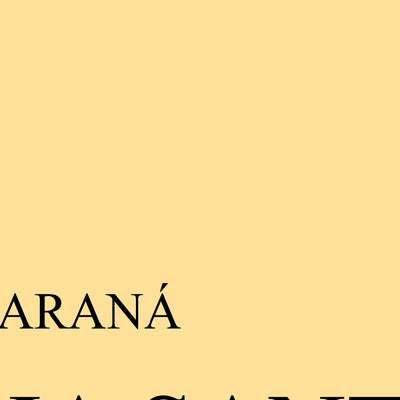 DO RIACHO GUAICURUS À ILHA SANTA MARIA (3335) Preview 2