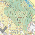 Český úřad zeměměřický a katastrální Nový (0205-A-24-4) digital map