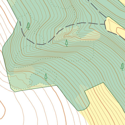 Český úřad zeměměřický a katastrální Turnov (0205-D-06-3) digital map