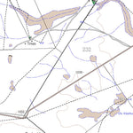 Chief Directorate: National Geo-spatial Information 2919DA BURTON'S VLEI digital map