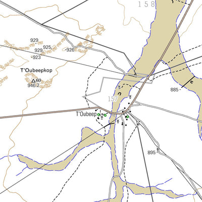 Chief Directorate: National Geo-spatial Information 2920AD DORINGKNIE digital map