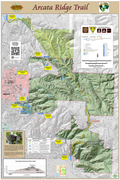 Arcata Community Forest - Arcata Ridge Trail Preview 1