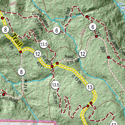 Arcata Community Forest - Arcata Ridge Trail Preview 3