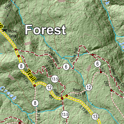 Arcata Community Forest - Arcata Ridge Trail Updated Preview 3