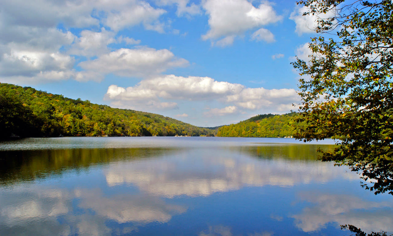 Clarence Fahnestock State Park