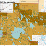 CRTU Chippewa National Forest Summer: Beltrami, Itasca Preview 1