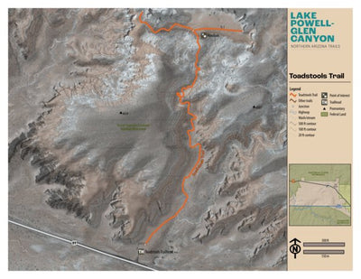 Toadstools Trail Preview 1