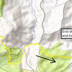 Coffs Trail Runners - Pub to Pub Preview 2
