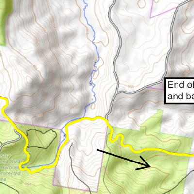 Coffs Trail Runners - Pub to Pub Preview 2