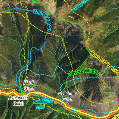 Co Bighorn Sheep Unit S11 Satellite Image with concentrations and kill sites. Preview 3