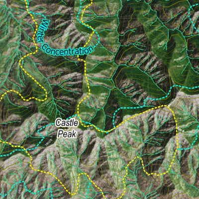 Co Bighorn Sheep Unit S24 Satellite Image with concentrations and kill sites. Preview 3