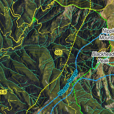 Co Bighorn Sheep Unit S31 Satellite Image with concentrations and kill sites. Preview 3