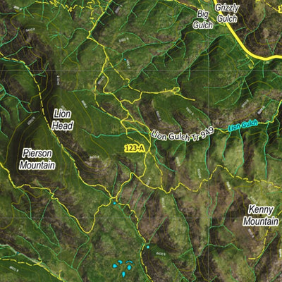 CO Moose Unit 20 Satellite Image with concentrations and kill sites. Preview 2