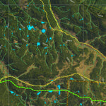 CO Moose Unit 24 Satellite Image with concentrations and kill sites. Preview 2