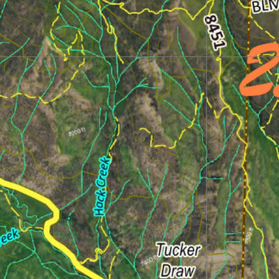 CO Moose Unit 25 Satellite Image with concentrations and kill sites. Preview 2