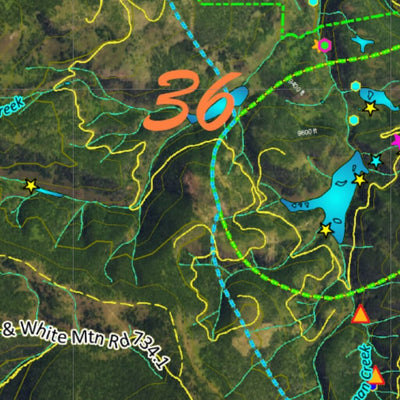 CO Moose Unit 36 Satellite Image with concentrations and kill sites. Preview 2