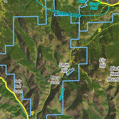 CO Moose Unit 38 Satellite Image with concentrations and kill sites. Preview 2