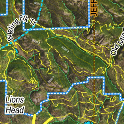 CO Moose Unit 461 Satellite Image with concentrations and kill sites. Preview 3