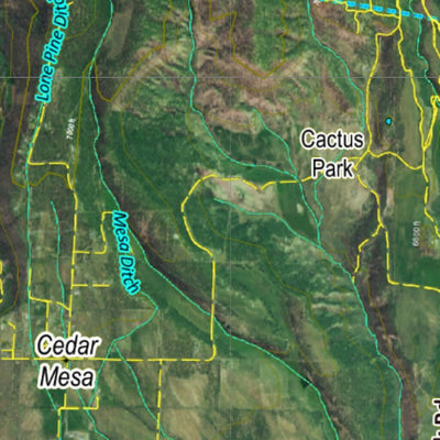 CO Moose Unit 52 Satellite Image with concentrations and kill sites. Preview 2