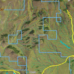 CO Moose Unit 58 Satellite Image with concentrations and kill sites. Preview 2