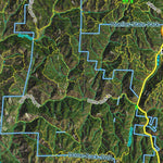 CO Moose Unit 581 Satellite Image with concentrations and kill sites. Preview 3
