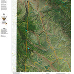 CO Moose Unit 60 Satellite Image with concentrations and kill sites. Preview 1