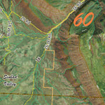 CO Moose Unit 60 Satellite Image with concentrations and kill sites. Preview 2