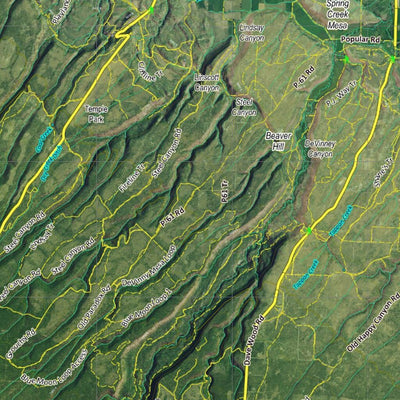 CO Moose Unit 62 Satellite Image with concentrations and kill sites. Preview 3