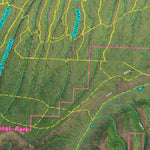 CO Moose Unit 63 Satellite Image with concentrations and kill sites. Preview 2