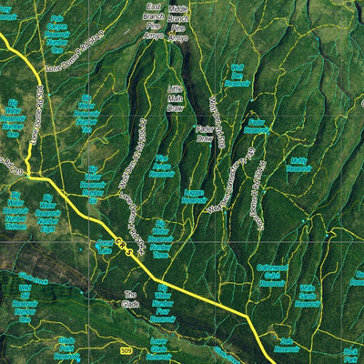CO Moose Unit 70 Satellite Image with concentrations and kill sites. Preview 3