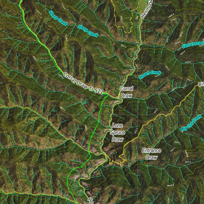 CO Moose Unit 74 Satellite Image with concentrations and kill sites. Preview 2