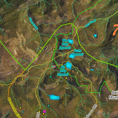 CO Moose Unit 76 Satellite Image with concentrations and kill sites. Preview 2