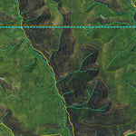 CO Moose Unit 77 Satellite Image with concentrations and kill sites. Preview 2