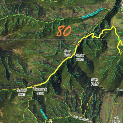 CO Moose Unit 80 Satellite Image with concentrations and kill sites. Preview 2