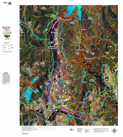 Colorado HuntData LLC CO Mountain Goat Unit G10 Satellite, Kill Site, and Concentrations digital map